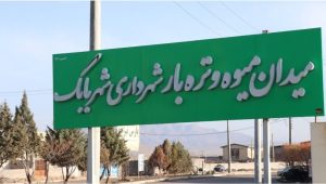 IMG_20260318_104649_611